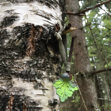decorated forest