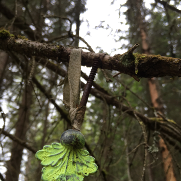 decorated forest