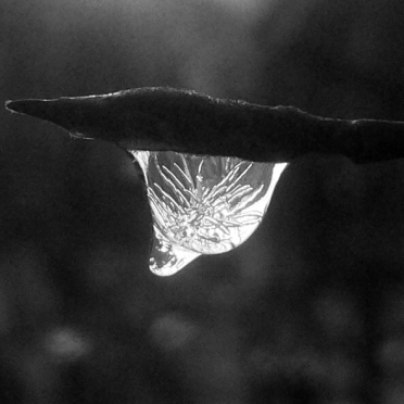 drop