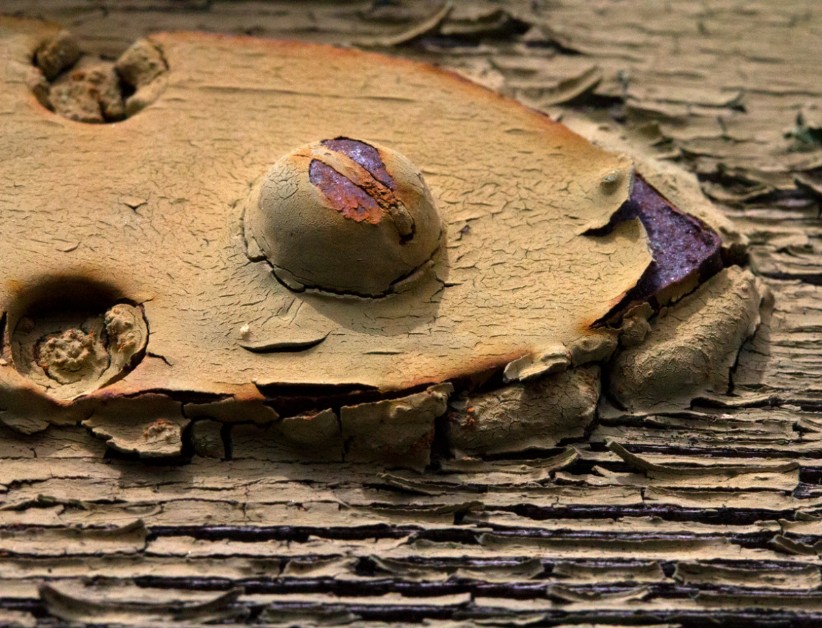 materiality