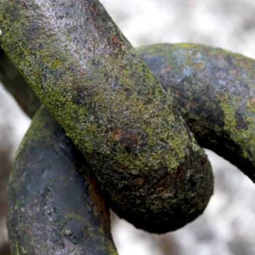 links