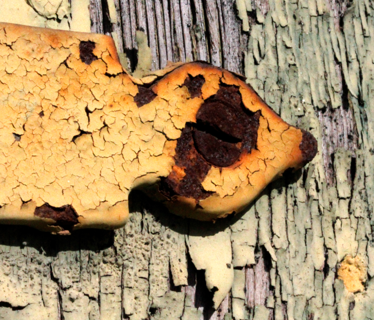 texture