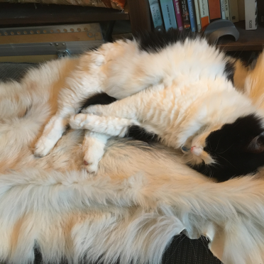 putte