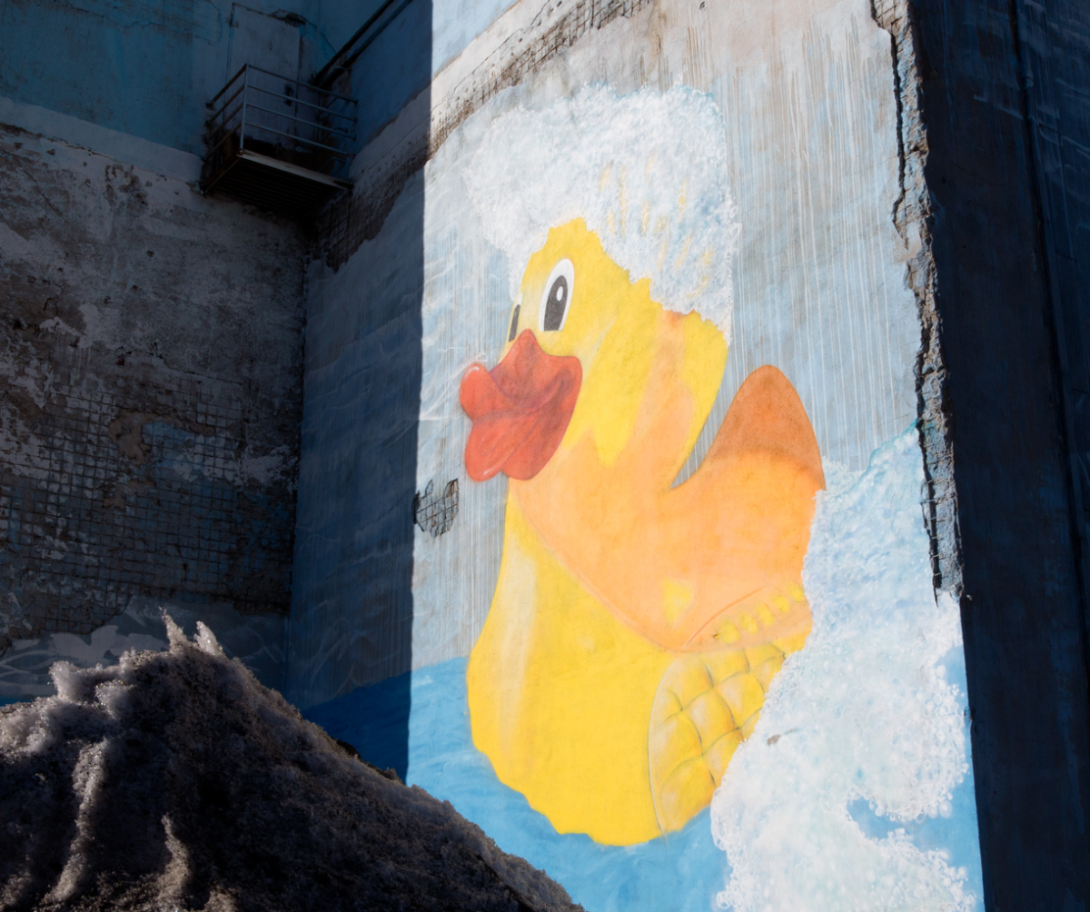 duckling