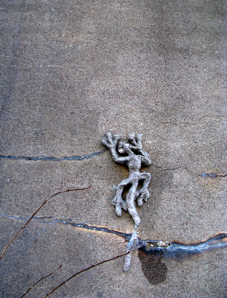 gecko