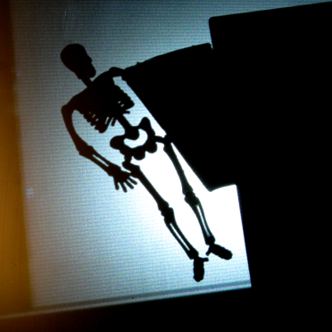 skeleton reflection