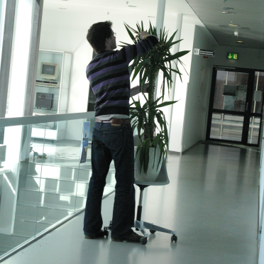 plant care