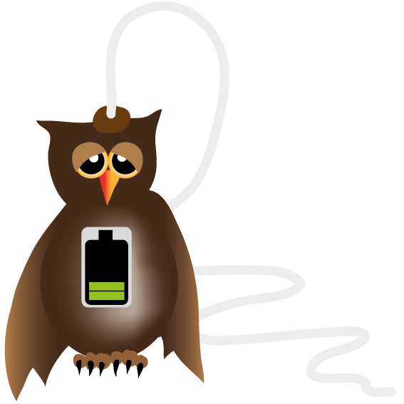 charging owl