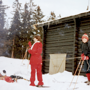 Grønland 1984