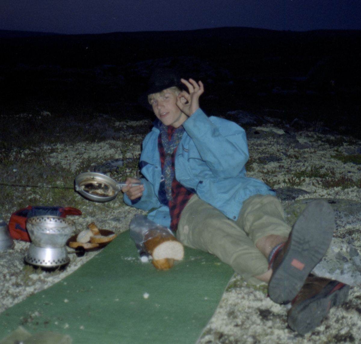 fish dinner