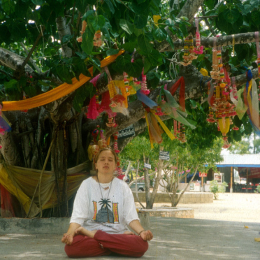 bodhi tree