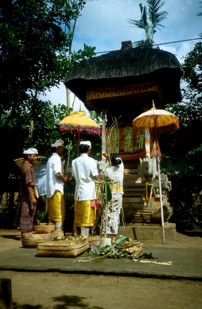 bali