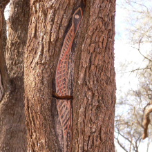 aboriginal snake