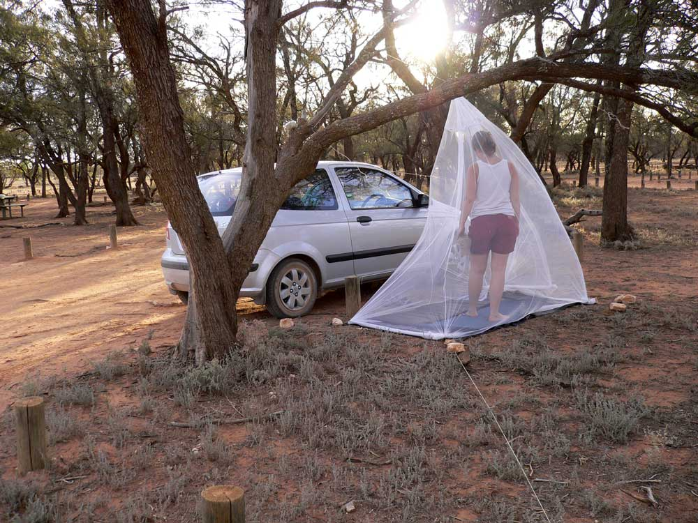 mungo camp
