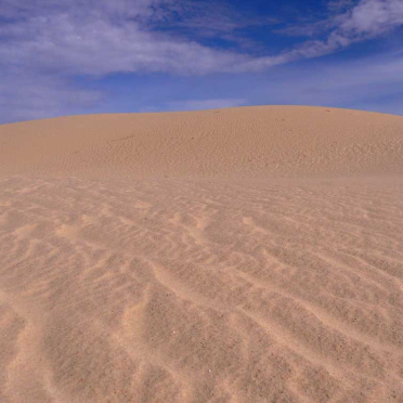 munog sand dunes