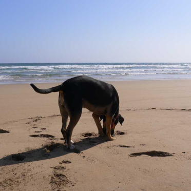 grainne, venus bay