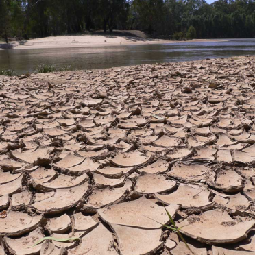 murray river