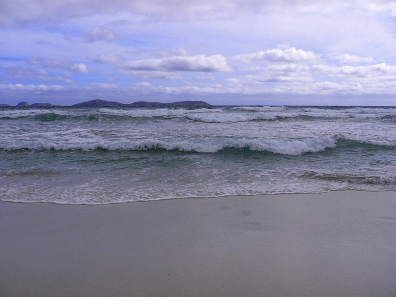 wilsons prom