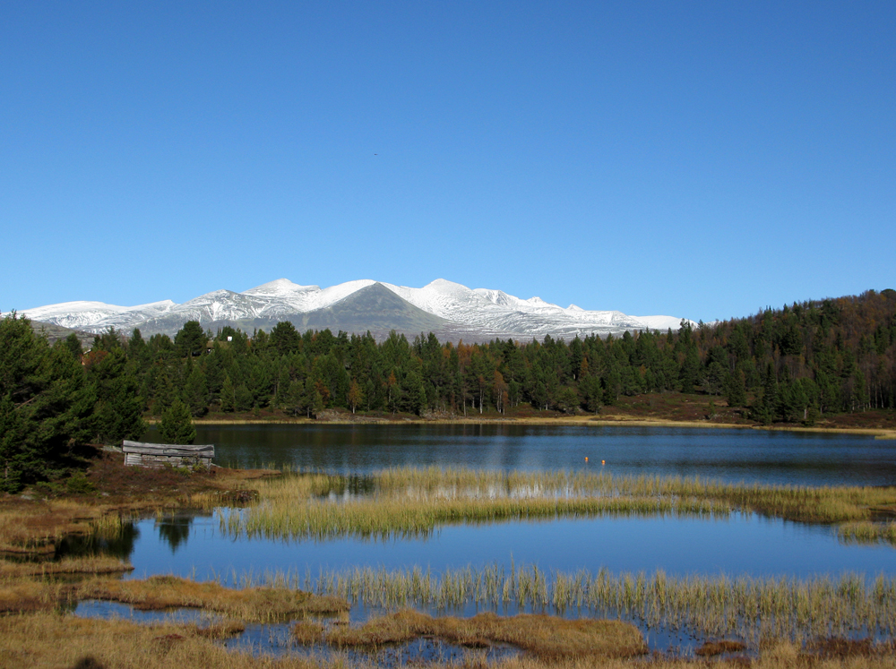 rondane