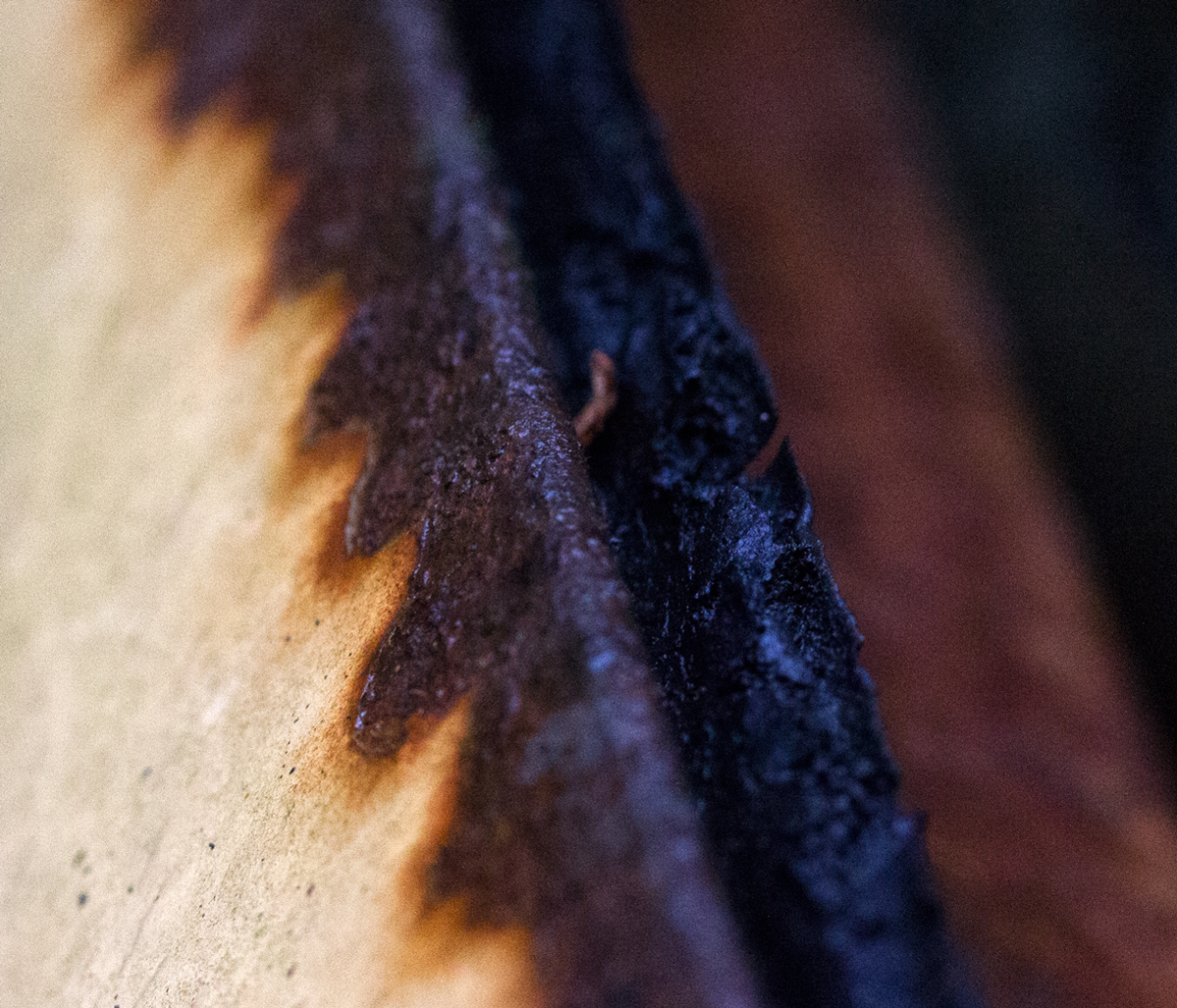 capillary