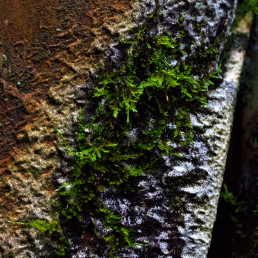 texture