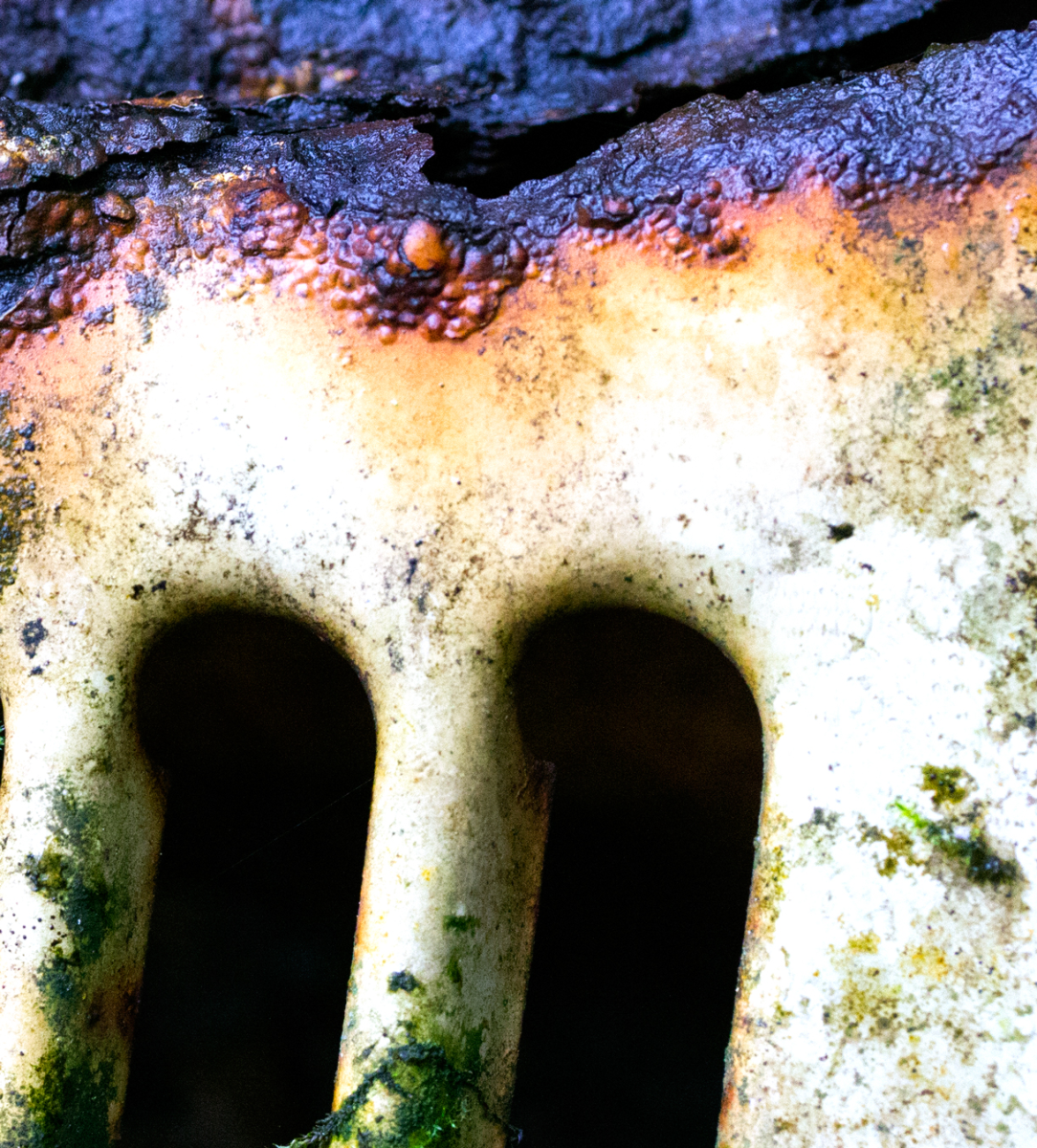 arches
