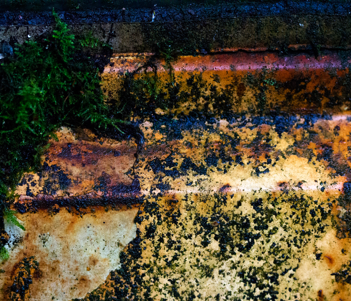 steps