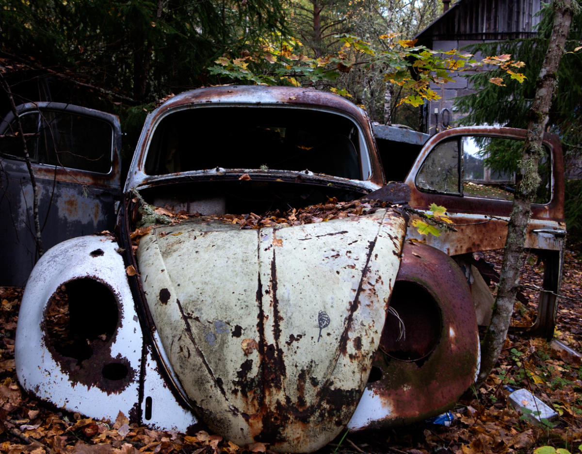beetle