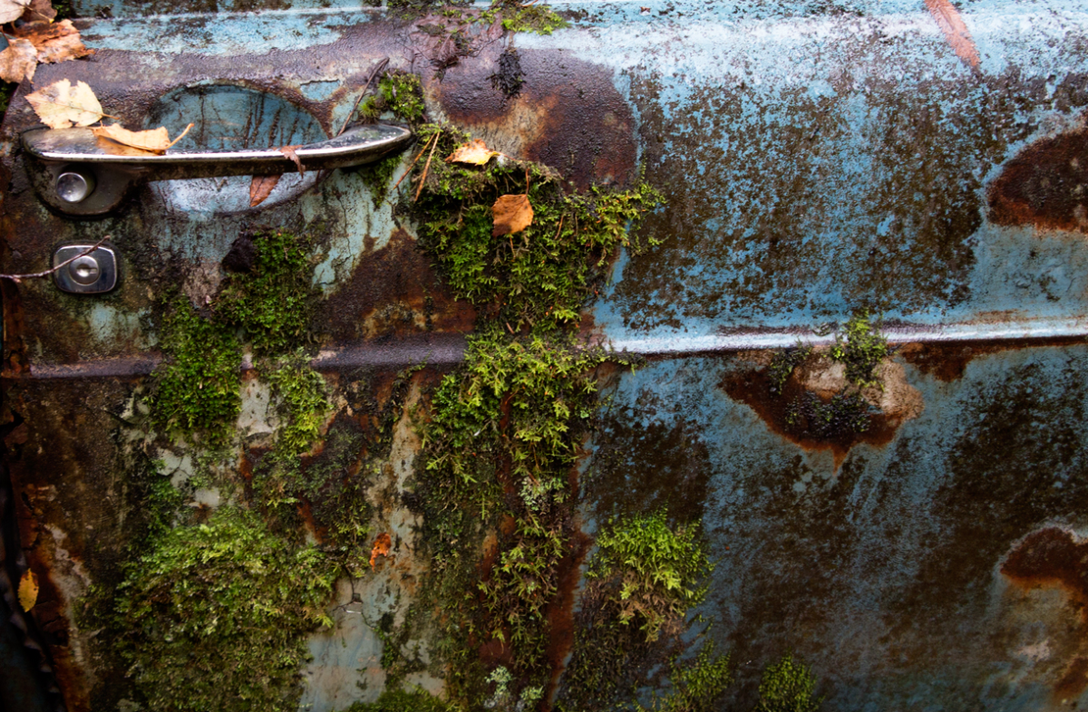landscapes