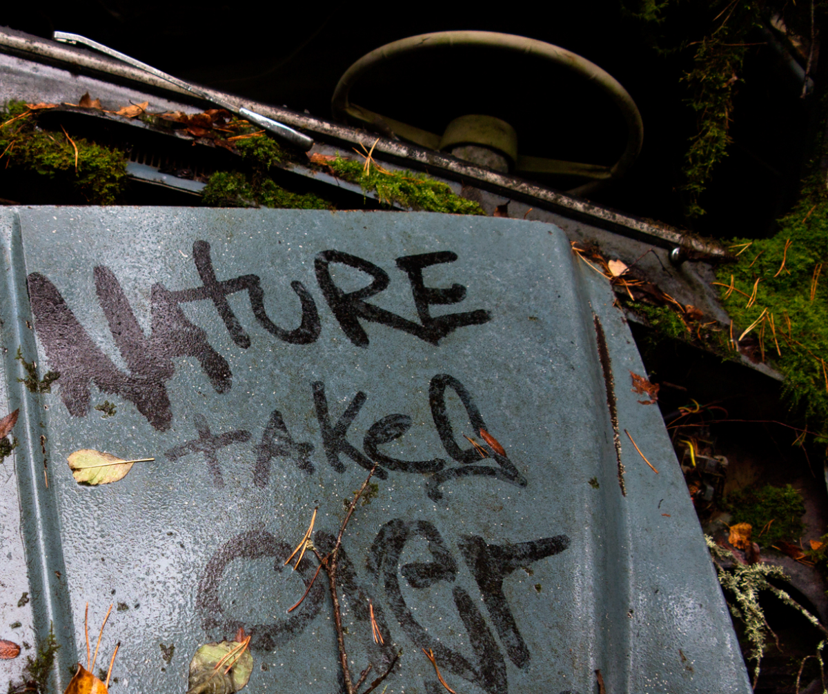 nature takes over