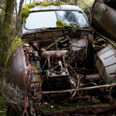 innards