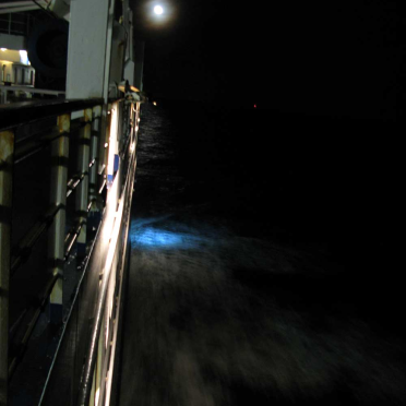 at_sea