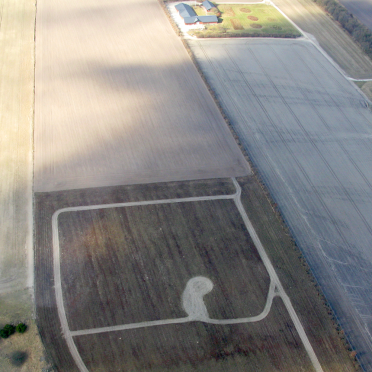 fields