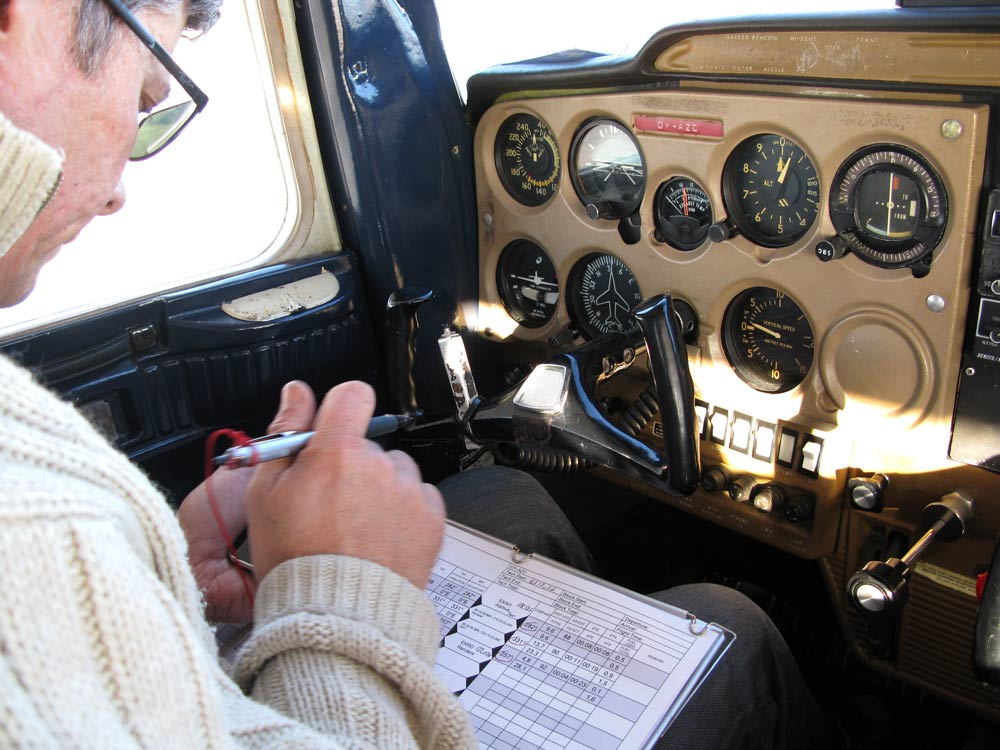 fly_9_check