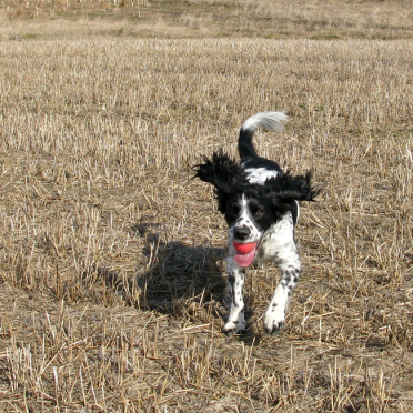 full speed