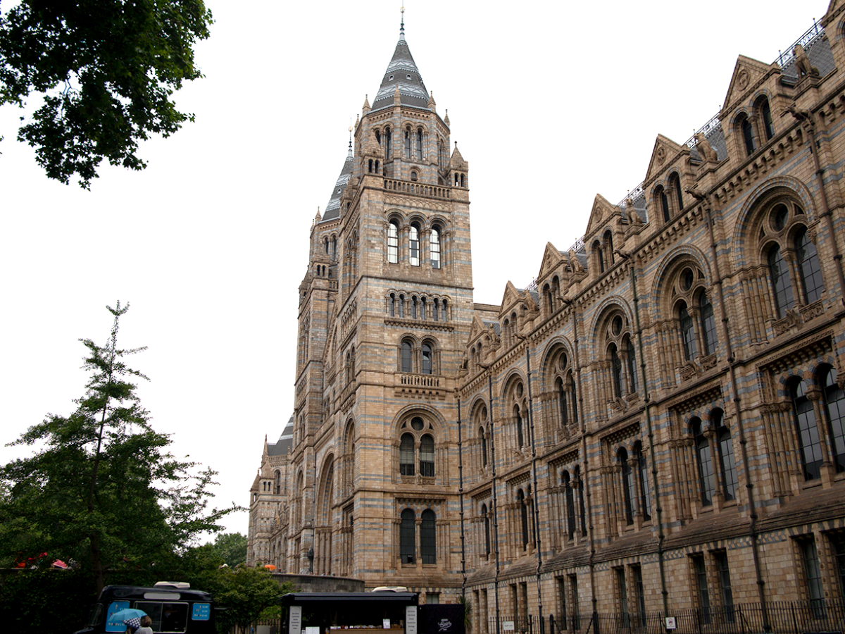 museum of natural history