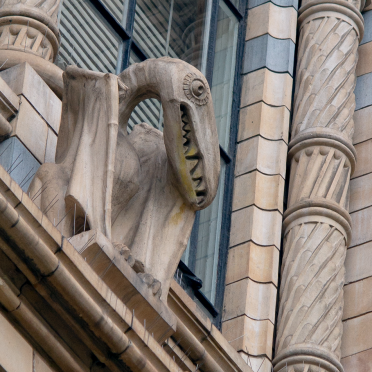 pterodactyl