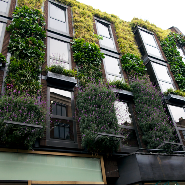 facade
