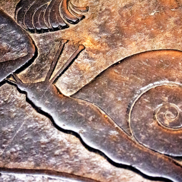 utrecht cathedral … snail