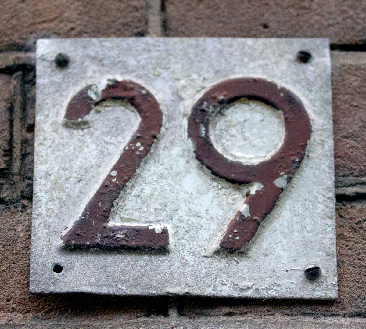 29
