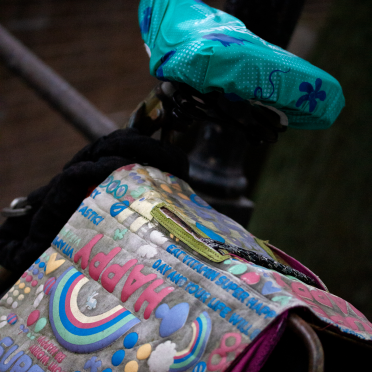 bikes 