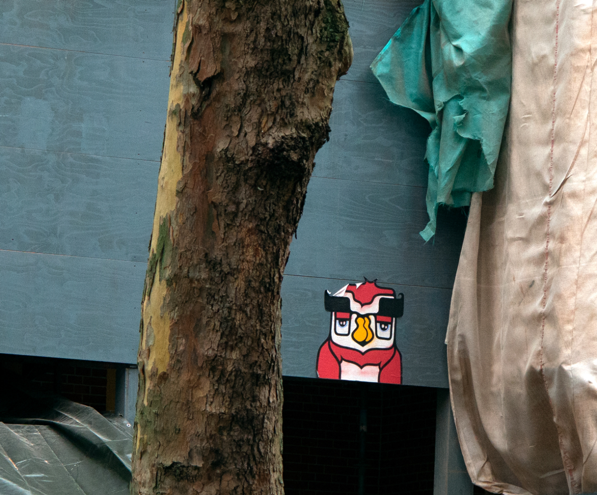 owl