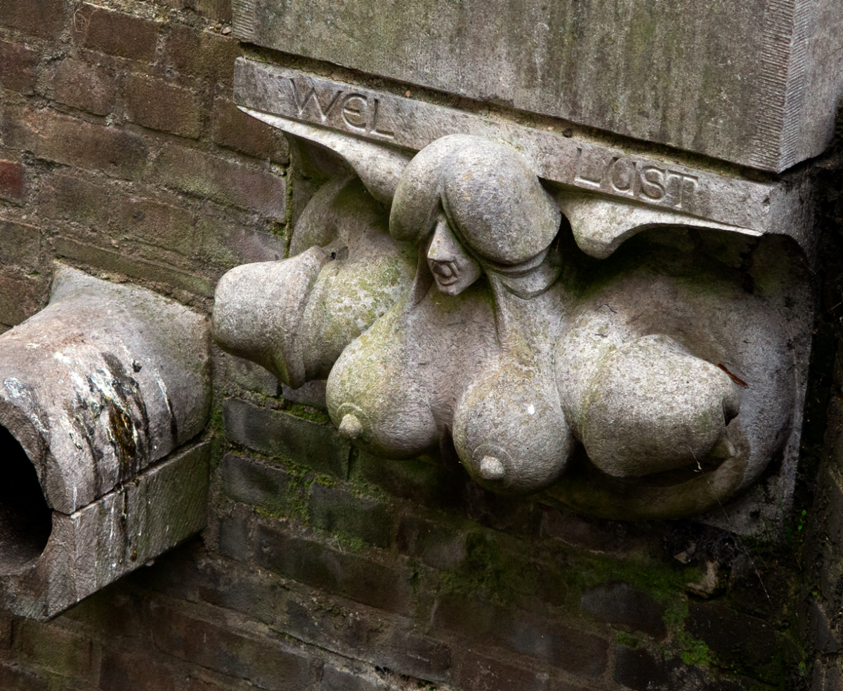 penis-armed, penis-hat madonna with big boobies