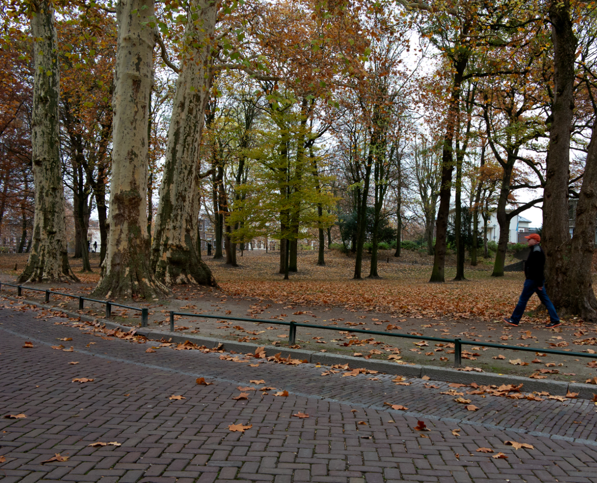 park