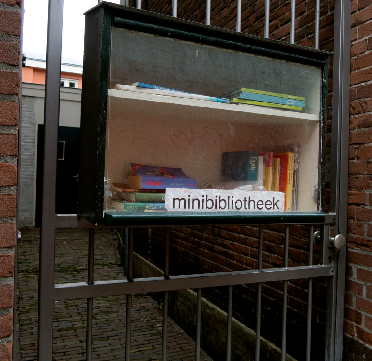 mini library