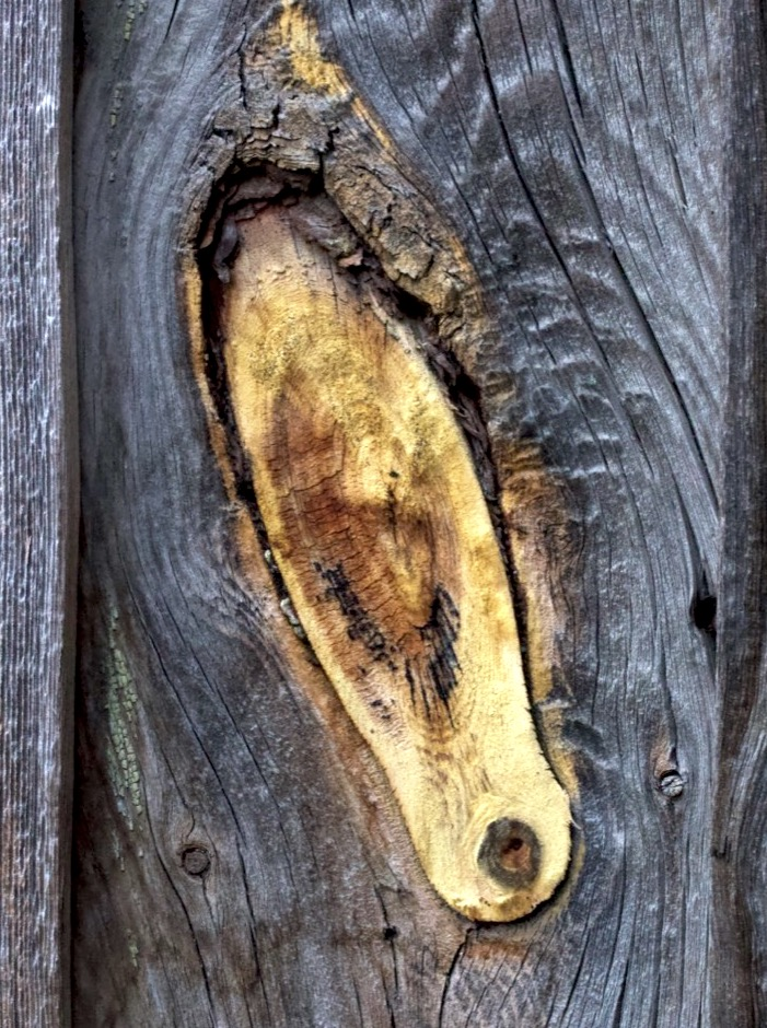 knot