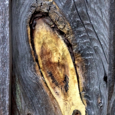 knot