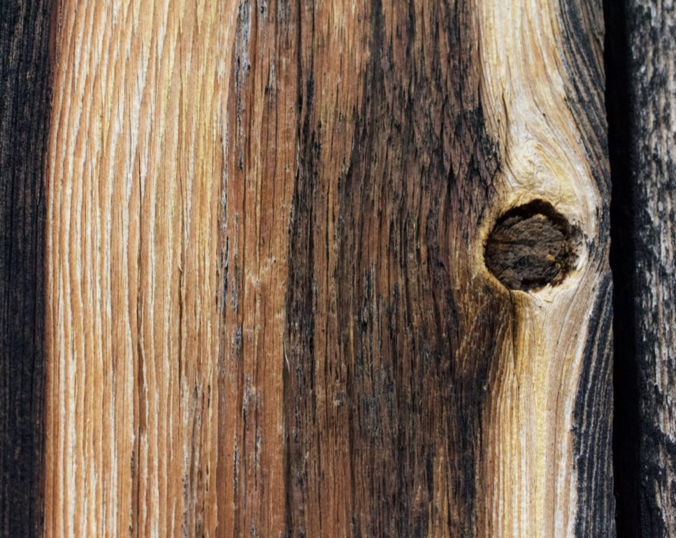wood