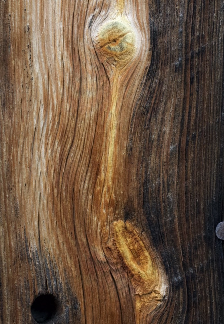 wood