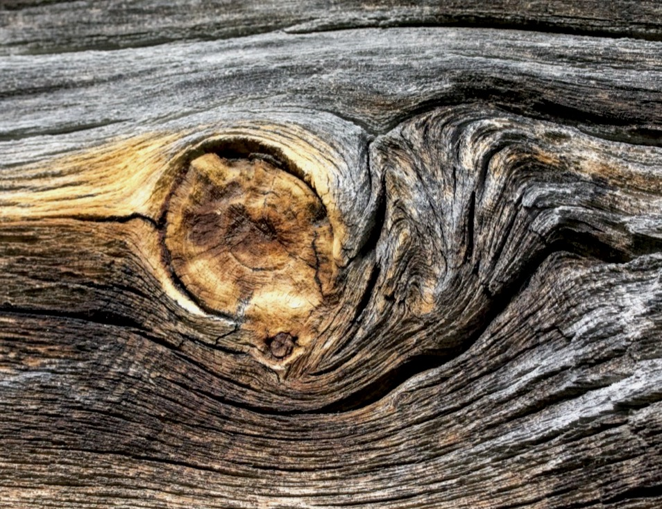 wood